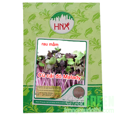 Hạt rau mầm củ cải đỏ Malady